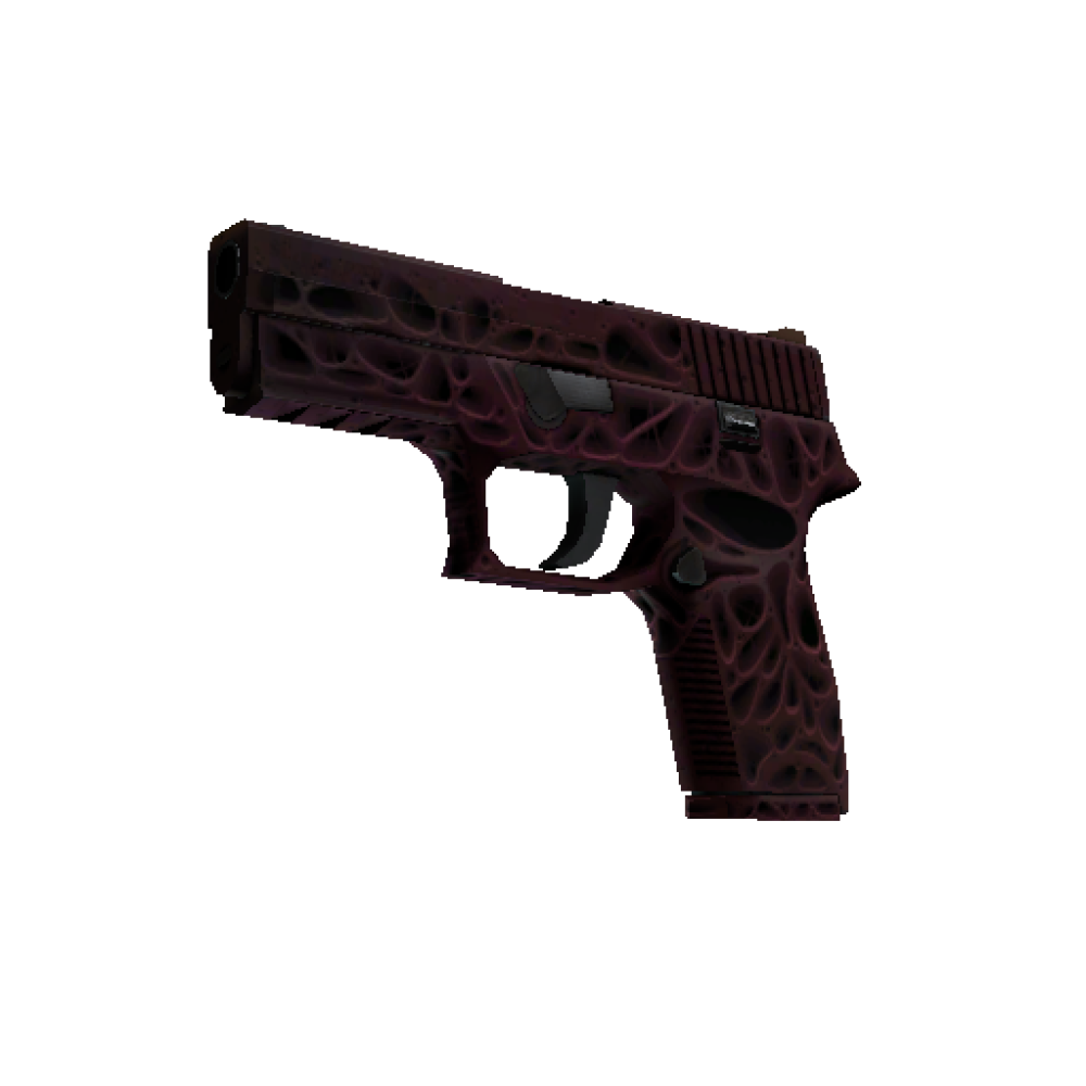 StatTrak™ P250 | Загрязнитель (Немного поношенное)